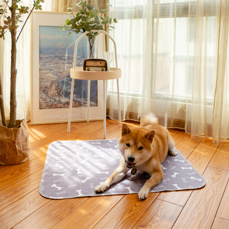 🐶leak-proof Pads: stylish, super absorbent & reusable for a cleaner home😸